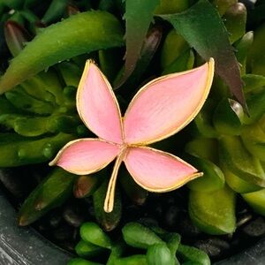 BCH4- JJ Jonette Gold Pink Enamel Flower Brooch